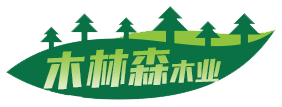 领航国际