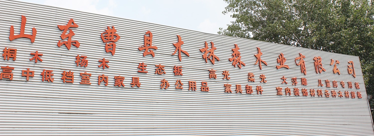 领航国际